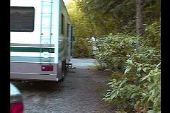 pic111