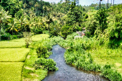 Bali04-east-image012