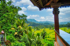 Bali04-east-image017