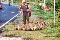 Bali04-east-image031