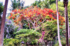 Bali04-nord-image004