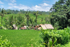 Bali04-nord-image009