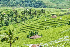 Bali04-nord-image012