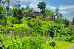 Bali04-nord-image014