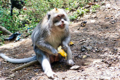 Bali04-nord-image015