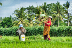 Bali04-nord-image027