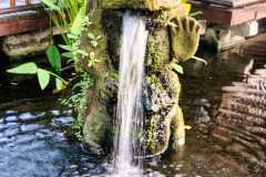 Bali04-sanur-image007