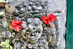 Bali04-segara-image007