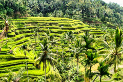 Bali04-vulcano-image005