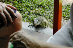 Brasil0304-SeteCidadas-12