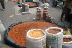 Brasil0304-Itaicacba-04