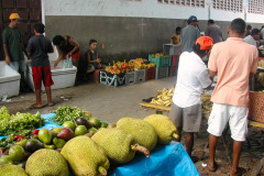 Brasil0304-Itaicacba-10
