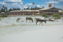 Brasil0304-Itaicacba-27