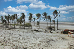 Brasil0304-Parnaiba-23