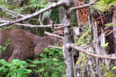 USNW-0604-100_1286