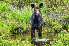 USNW-0606-100_1412
