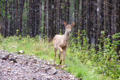 USNW-0607-100_1433