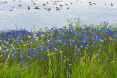 USNW-0612-100_1662