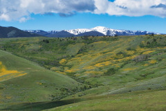 USNW-0613-100_1695