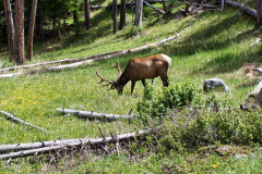 USNW-0613-100_1740