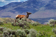 USNW-0613-100_1743