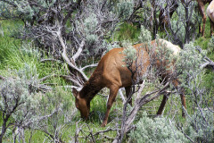 USNW-0613-100_1746