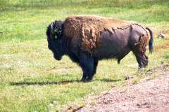USNW-0613-100_1786