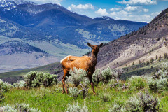 USNW-0613-image038
