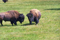 USNW-0613-image041