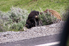 USNW-0614-100_1846