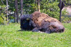 USNW-0614-100_1855