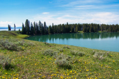 USNW-0616-100_1981