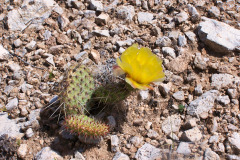 USNW-0617-100_2021