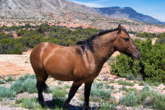 USNW-0617-100_2047