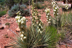 USNW-0617-100_2052