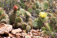 USNW-0617-100_2057