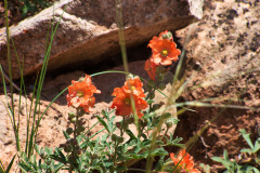 USNW-0617-100_2060