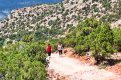 USNW-0617-100_2061