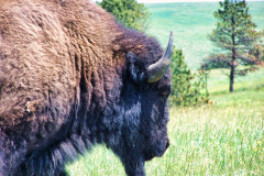 USNW-0620-100_2208