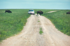 USNW-0620-100_2210