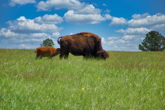 USNW-0620-100_2212
