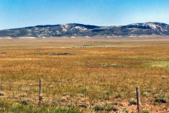 USNW-0621-pic05
