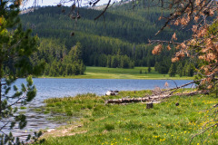 USNW-0622-image097