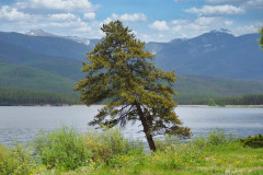 USNW-0623-100_2318