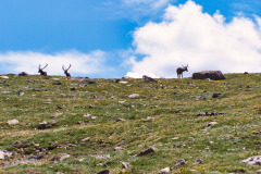 USNW-0623-image102
