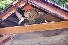 USNW-0624-100_2331