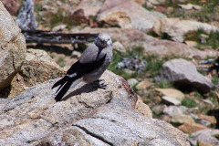 USNW-0624-100_2353