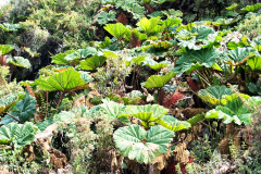 CR06-05-27-img26