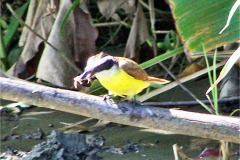 CR06-05-31-img20