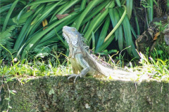 CR06-05-31-img34